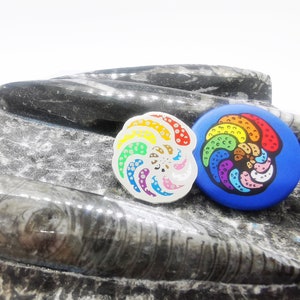 Queeraminifera Progress Pride Flag Foraminifera Button Badges image 3