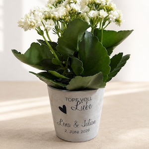 Könnte beinhalten: Eine Kalanchoe-Pflanze mit weißen Blüten und grünen Blättern in einem grauen Betontopf. Der Topf ist mit dem schwarzen Text TOPF VOLL Liebe, Lena & Julian, 2. JUNI 2026 sowie einem kleinen schwarzen Herzsymbol auf der Vorderseite bedruckt.
