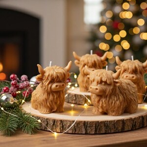 Highland Cow Candles Set of 2 Hand-Poured Soy-Beeswax Blend Scottish Cow Gift Eco-Friendly Free US Shipping image 19