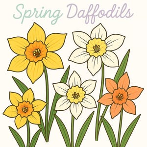 Watercolor Daffodil Clipart Bundle: Yellow Floral PNG (Digital Download, Commercial Use)