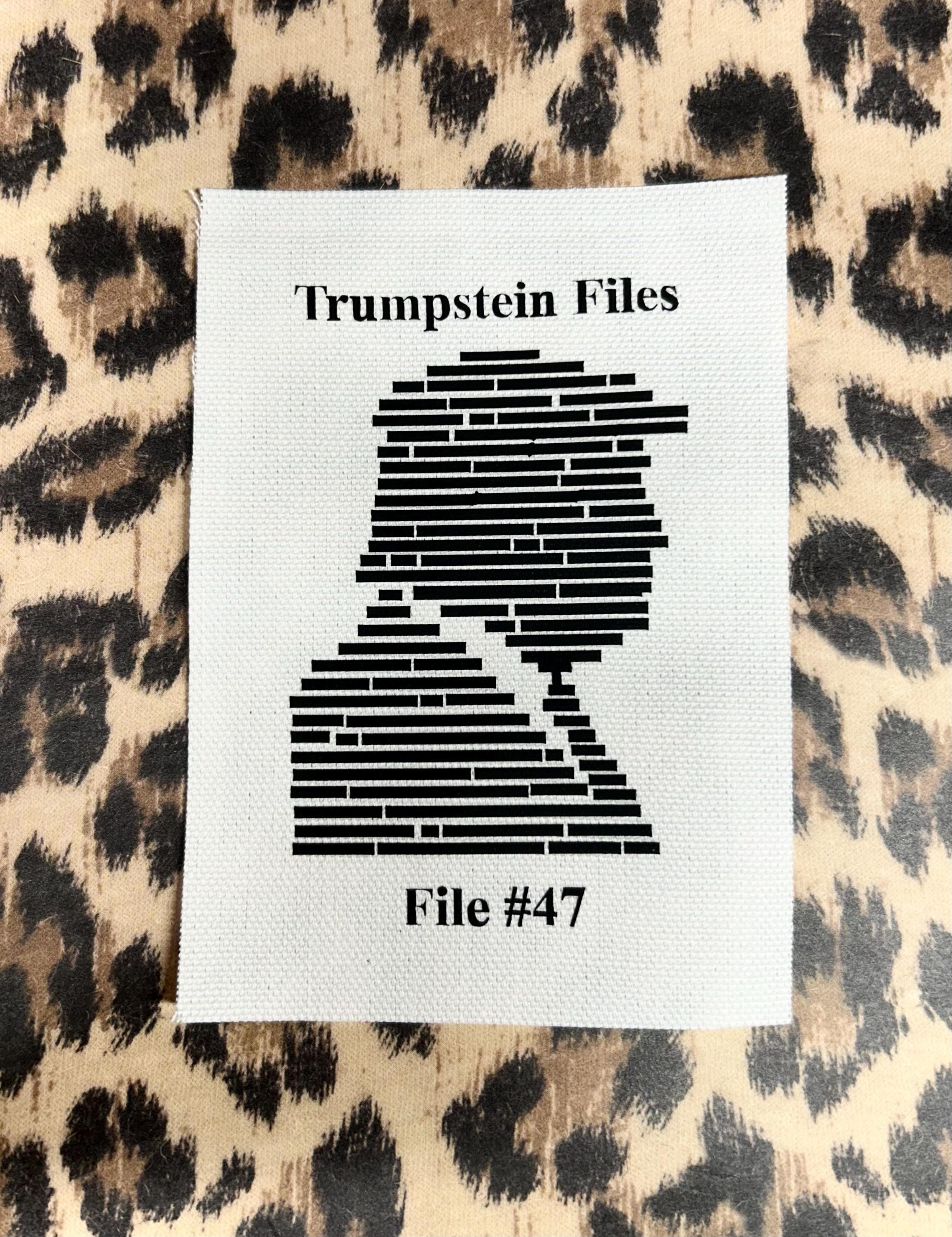 Patchs anti-atout punk - patch de fichiers Epstein caviardé Trump - patch anti-atout - patch gauchiste - patch de protestation, patchs punk pour veste