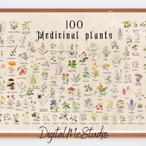 100 MEDICINAL PLANTS | Healing Herbs | Antique Prints | Botanical diversity | Printable wall Art | Farmhouse Botanical Print | Digital Print