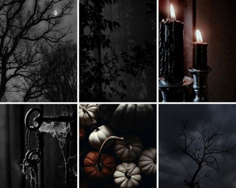 Halloween Digital Iphone Wallpaper - Dark Black Aesthetic Fall Vibes for Iphone and IOS Devices