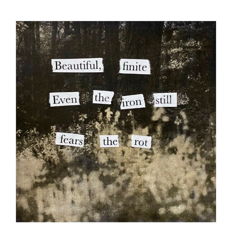 Ptolemaea Ethel Cain Lyric Artwork 5.5x5.5 Paper Collage Etsy