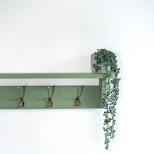 Op de afbeelding: Een groene houten plank met drie messing haken en een kleine plant in een pot die aan de rand hangt. De plank is gemonteerd aan een witte muur.