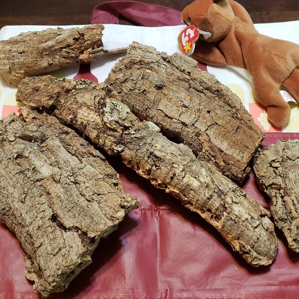 Cork Bark Flats - 1 pound