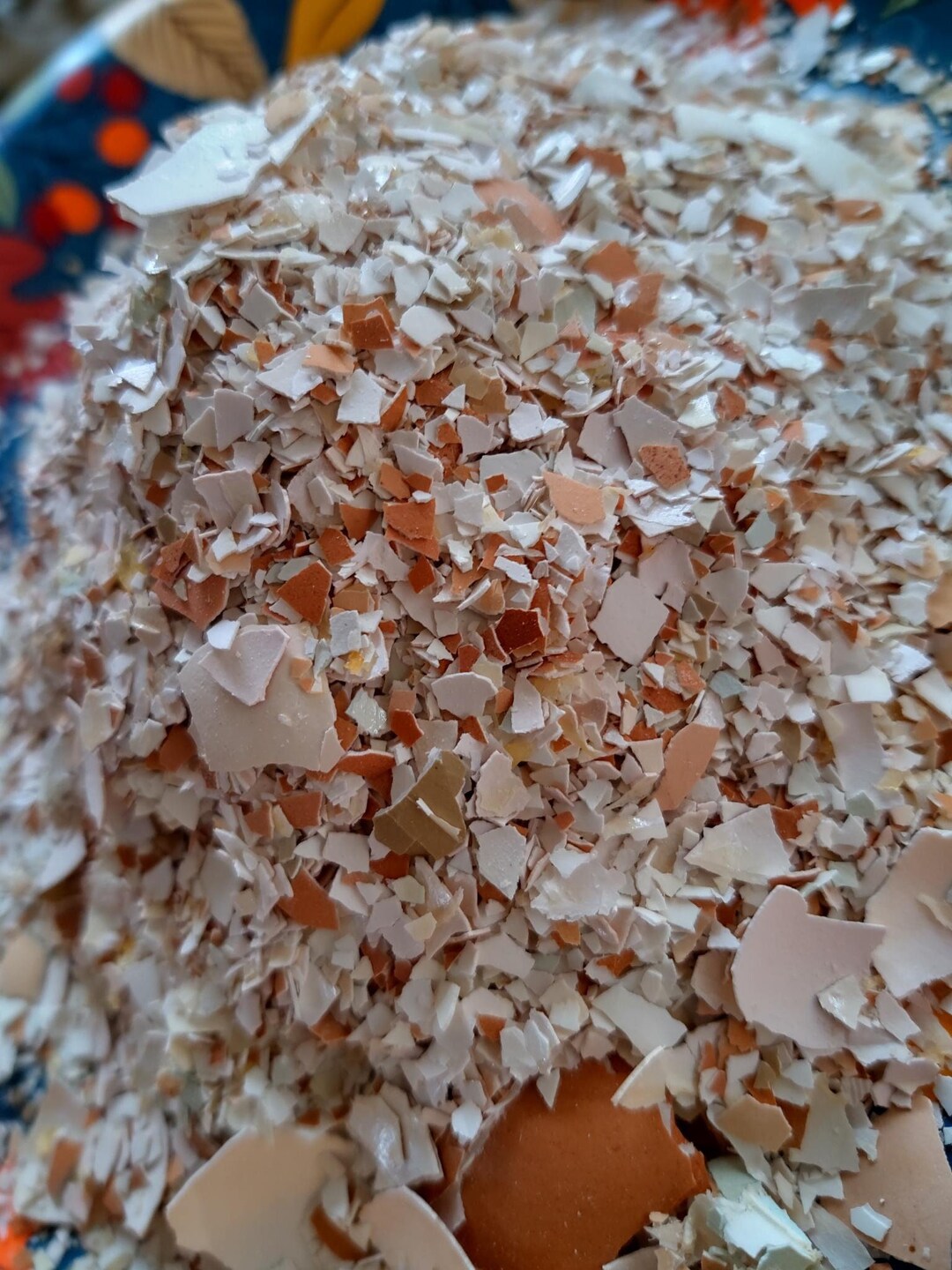 Crushed Eggshells free Shipping Etsy