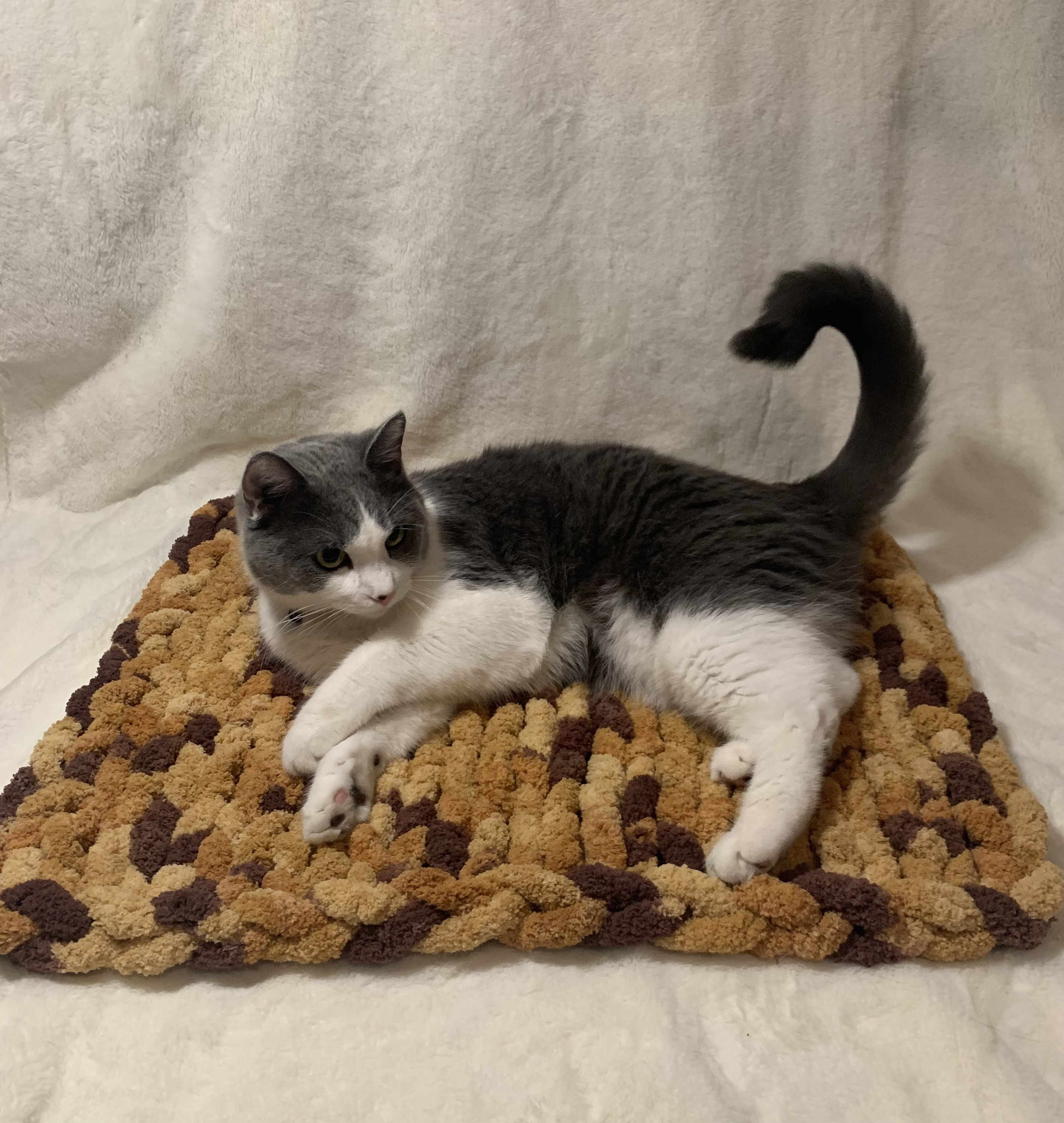 Knitted Pet Blanket 