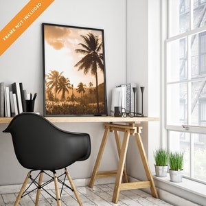 Photo de plantation de cocotiers sur l'ile de Santiago au Cap Vert (Cabo Verde), Afrique - Poster carte minimalist art