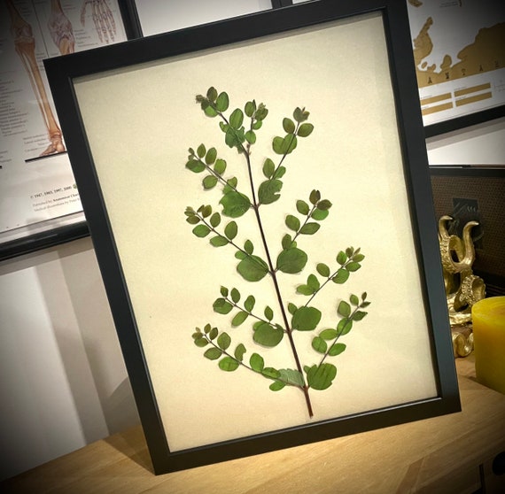 Pressed Flower Wall Art A3 Etsy