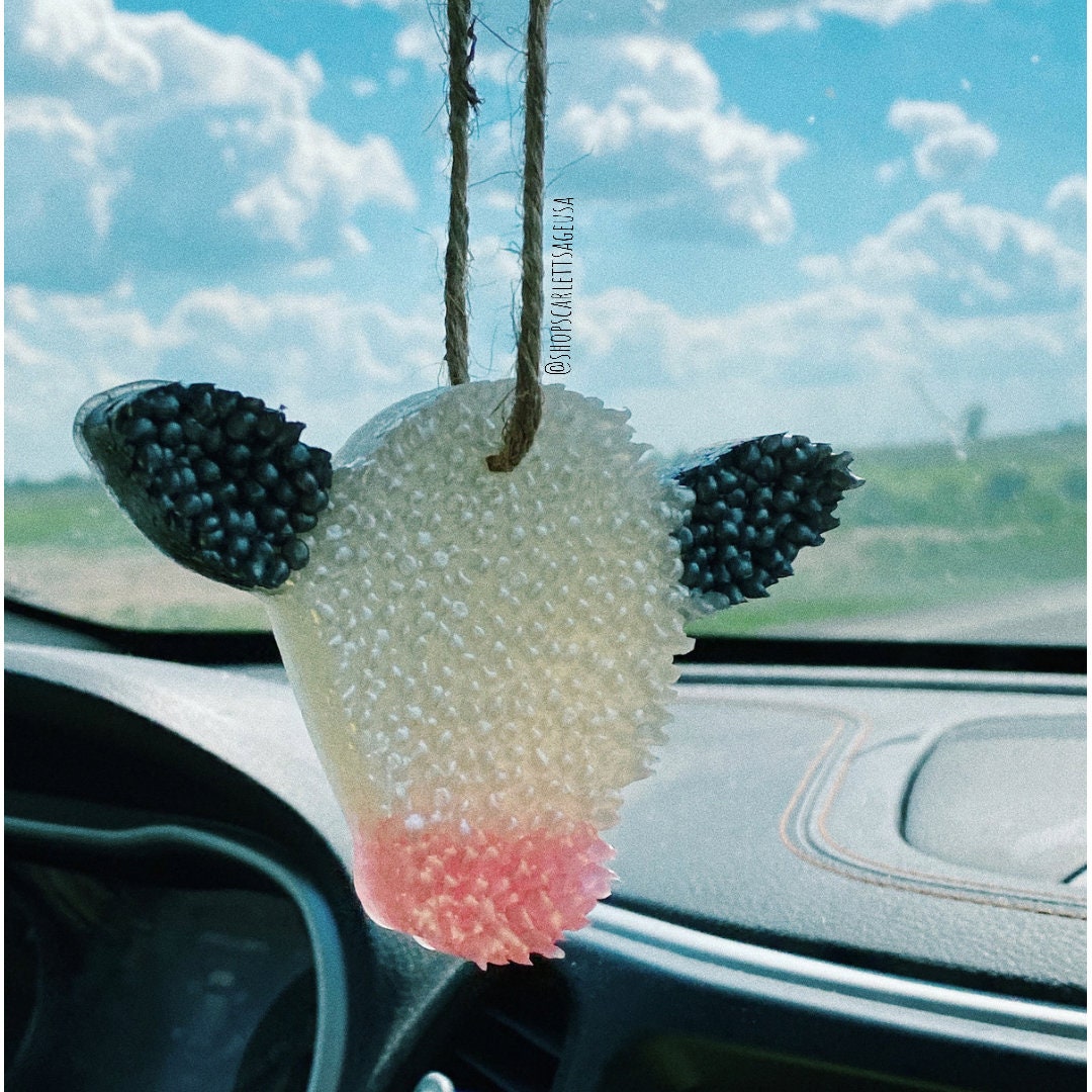 Freshies Car Air Freshener Car Accessories Car Freshy Smellies Unisex