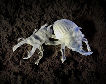 Beetles 3D print inclusions