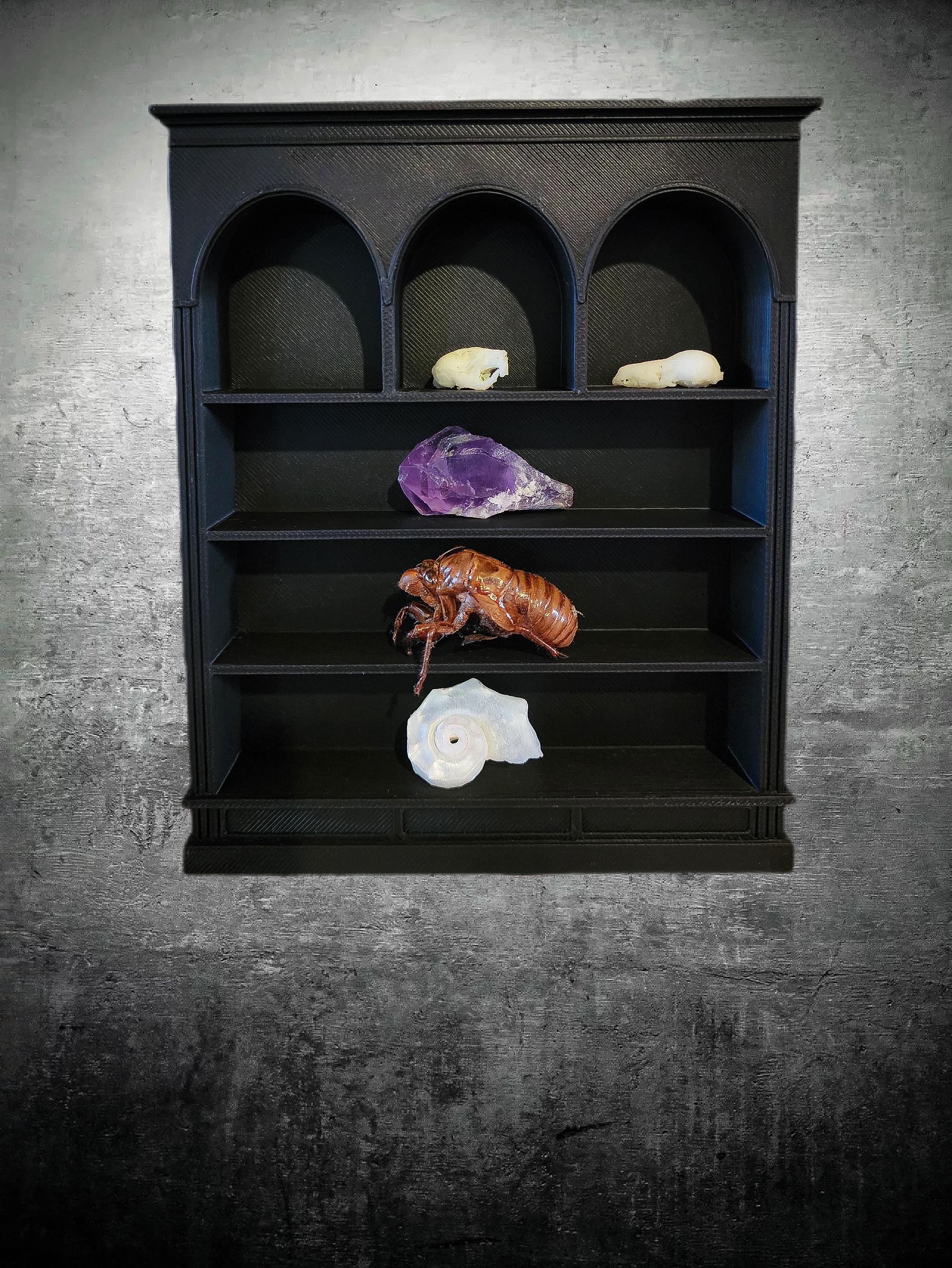 Tiny Oddity Display Shelf With Curios - Etsy Australia