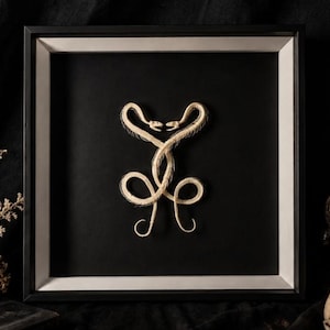May include: A square black frame containing two off-white snake skeletons arranged in an interlocking, symmetrical pattern against a solid black background. The two skeletons face each other at the top, with their bodies curving downward in loops.