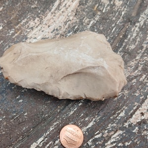 May include: A light-colored, roughly shaped stone tool, possibly a hand axe or scraper. The stone has a chipped edge and a textured surface. A U.S. one-cent coin is included for size comparison.