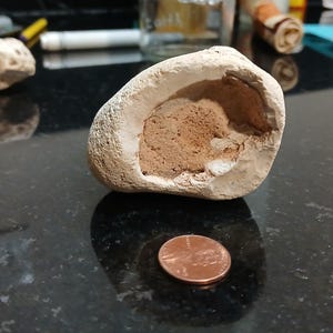 Puede incluir: Una roca ahuecada de color claro con un interior marrón, junto a un centavo de cobre. La roca tiene una superficie rugosa y texturizada. El centavo es una moneda estadounidense de un centavo, que muestra el perfil de Abraham Lincoln.