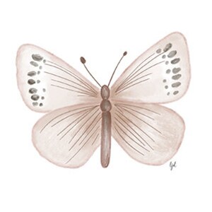 Butterfly Notecards | Blank Inside | Original Art | Greeting Card | Set ...