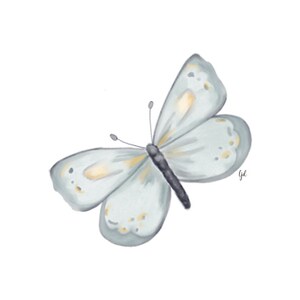 Butterfly Notecards | Blank Inside | Original Art | Greeting Card | Set ...
