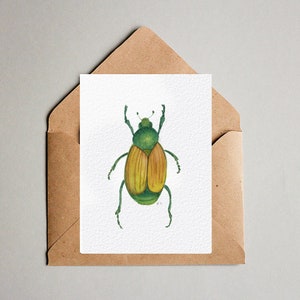 Insect Notecards - Beetles - Bugs - Blank inside