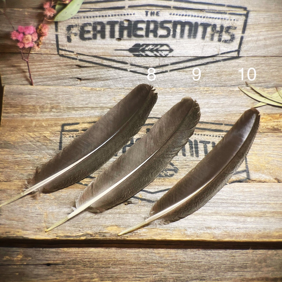 Ethical North American Turkey Feathers Country Wedding Etsy