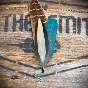 Great Macaw Hat Feathers - Real Ethical Australian Feathers - Western Wedding Feather Accessories - Boho Festival Hat Feathers