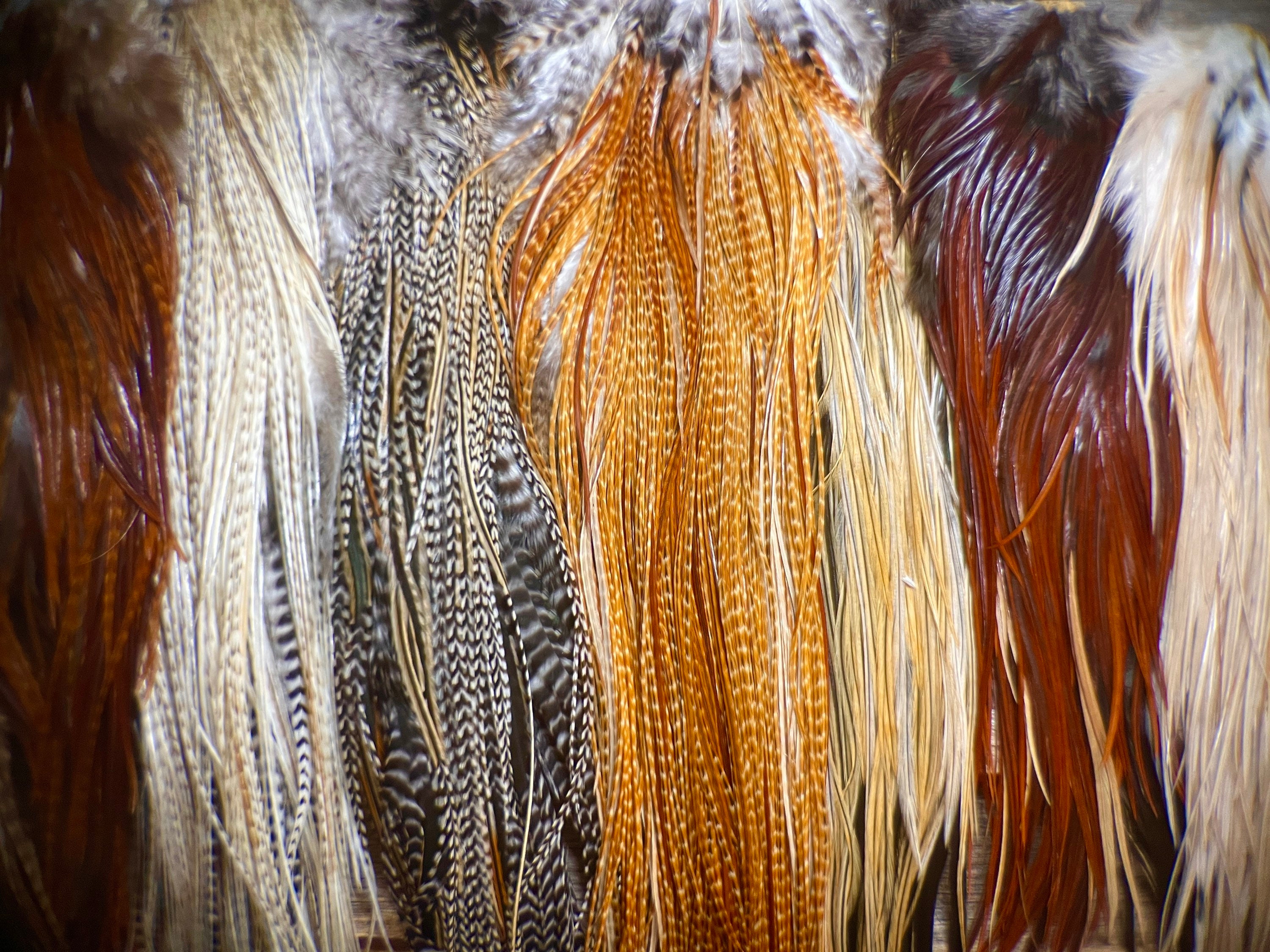 Small Natural Red Tip Golden Pheasant Feathers, 2-3 Inches 5-7 Cm