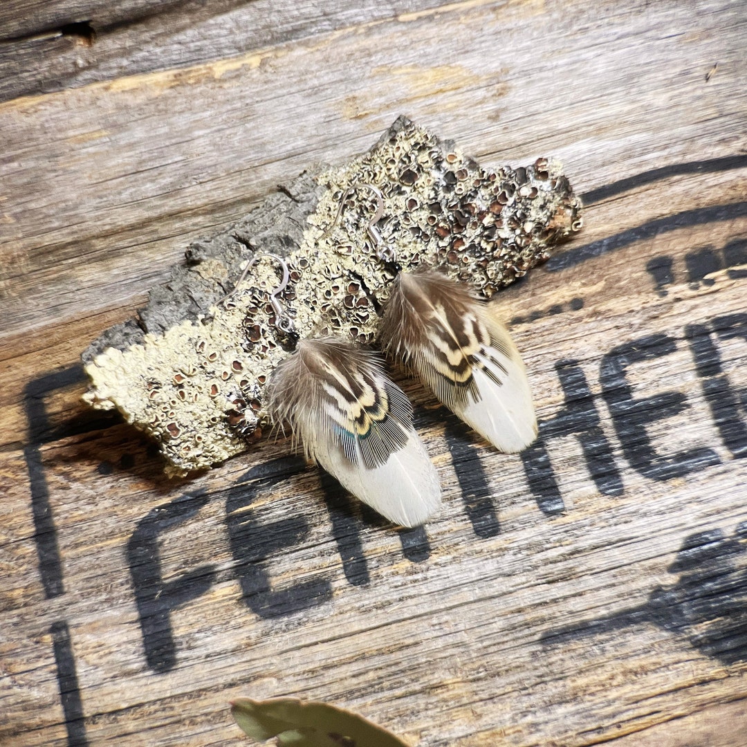 Ethical Peacock and Pheasant Feather Earrings Golden Hen Feather