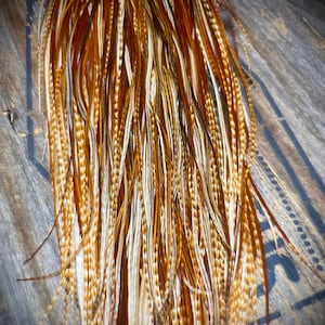Dark Ginger Saddle Rooster Feathers - Feather Hair Extensions - 5 Real Feathers - Boho Feather Hair Extensions - Festival Hair Extensions