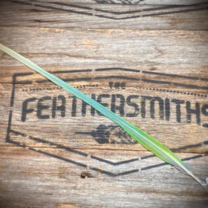 Ethical Alexandrine Parrot Tail Feather - Smudging Feathers - Western Wedding Feather Decor - Boho Festival Feather Accessories - Australian