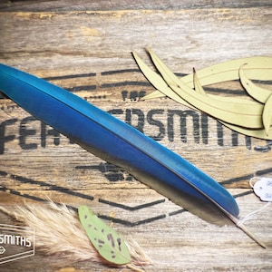 Australian Macaw Feathers - Boho Feather Decor - Western Wedding Feather Decor - Country Feather Home Decor - Real Ethical Feathers