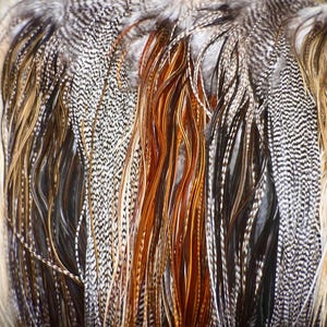 Real Feather Hair Extension Bundle  - Natural and Dyed Feather Hair Extensions - 10 Real Feather Extensions - DIY Feather Hair Extension Kit