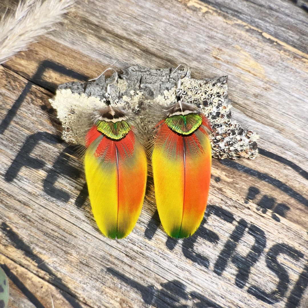 Scarlet Macaw Feathers Earrings Golden Pheasant Feathers Accessories