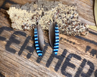 Blue Jay Feather Earrings - Long Blue and Black Feather Earrings - Boho Festive Feather Jewelry - Wedding Feather Accessory - Rare Feathers
