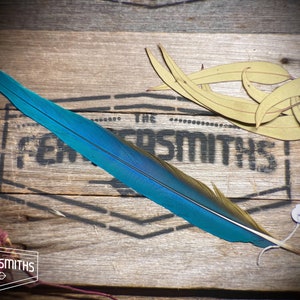 Long Australian Macaw Feathers - Real Ethical Feathers - Smudging Feathers - Boho Wedding Feather Decor - Country Feather Home Decoration