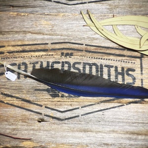 Rare Hyacinth Macaw Feathers - Boho Feather Home Decor - Ethical Australian Feathers - Country Wedding Feather - Smudging Feathers