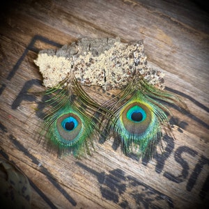 Long Peacock Eye Tail Feather Earrings - Cowgirl Feather Earrings - Country Wedding Feather Accessories - Ethical Australian Feathers
