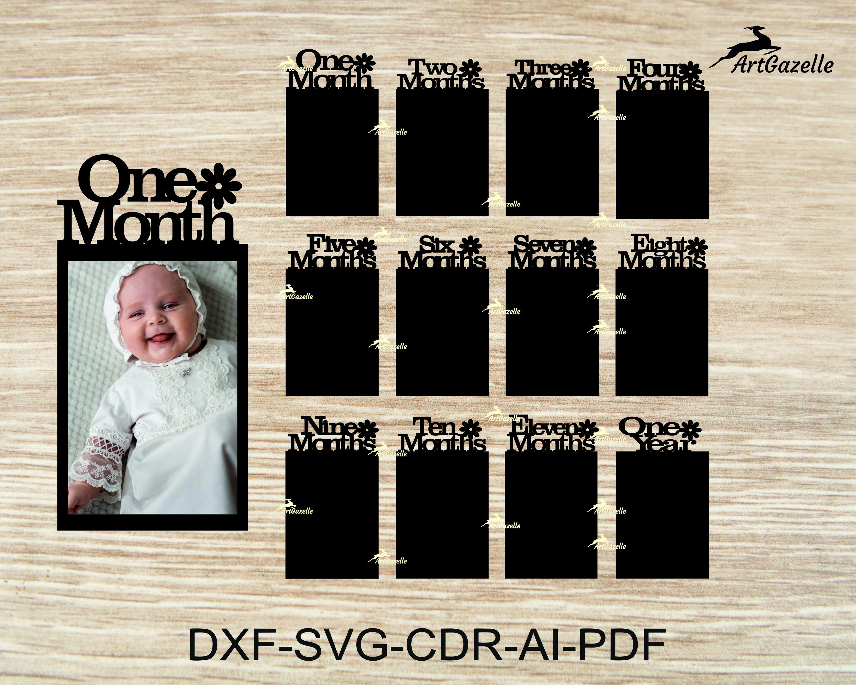 Monthly Baby Photo Svg 12 Month Photo Display Babys First Etsy