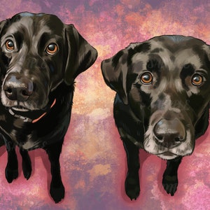 Multiple Pet Portraits