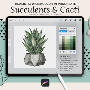 Realistisches Aquarell Procreate Tutorial, Sukkulenten & Kakteen Procreate Briefmarken, Zeichenvideo und Aquarellkurs, Procreate Pinsel, How To