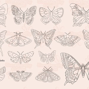 K&ouml;nnte beinhalten: Eine Sammlung von 15 Schwarzwei&szlig;-Zeichnungen von Schmetterlingen und Motten. Die Zeichnungen befinden sich auf einem hellrosa Hintergrund mit einem floralen Muster.