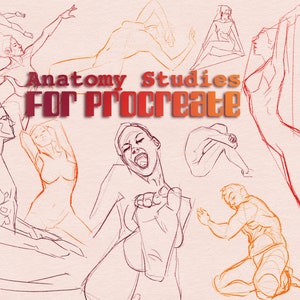 Anatomy Study Procreate Stamps | 78 Body Form Drawing Guide (Digital Download)