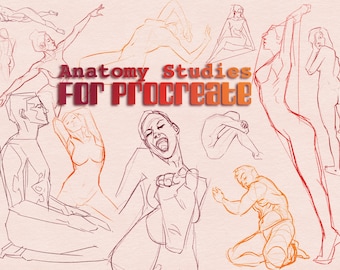 Anatomy Figure Stamps for Procreate | Digital Artist Drawing Guides (78 Brushes)