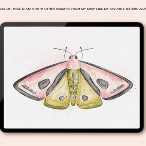 K&ouml;nnte beinhalten: Eine Aquarell-Illustration eines rosa und gr&uuml;nen Nachtfalters mit schwarzen Markierungen. Der Nachtfalter ist auf einem wei&szlig;en Hintergrund mit einer subtilen Aquarellstruktur dargestellt.