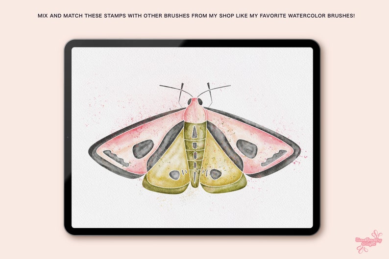 K&ouml;nnte beinhalten: Eine Aquarell-Illustration eines rosa und gr&uuml;nen Nachtfalters mit schwarzen Markierungen. Der Nachtfalter ist auf einem wei&szlig;en Hintergrund mit einer subtilen Aquarellstruktur dargestellt.