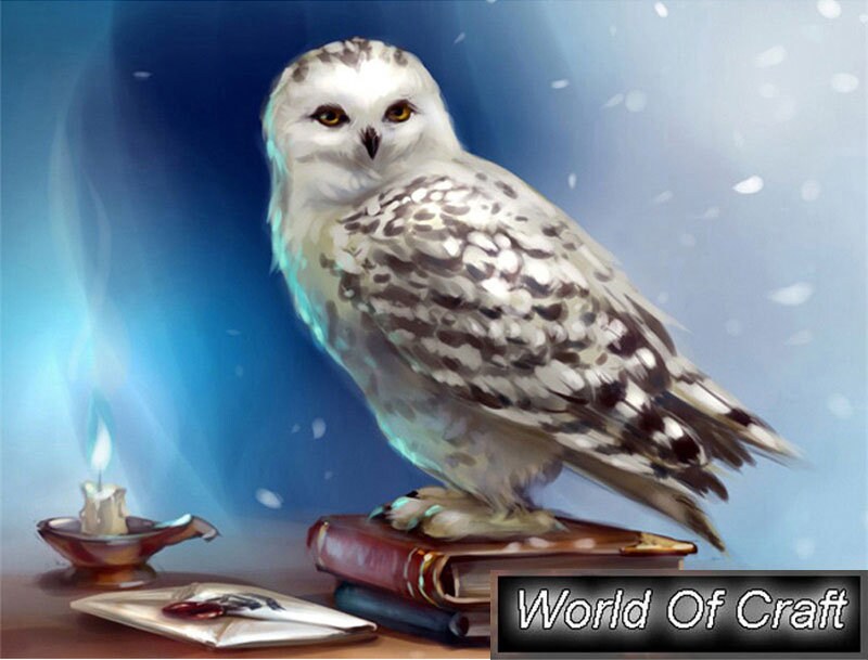 Hedwig and Harry Potter Diamond Painting Kits 20% Off Today – DIY