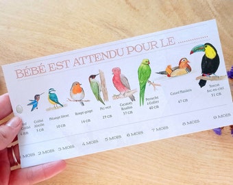 Original pregnancy announcement card: Baby/bird size - customizable