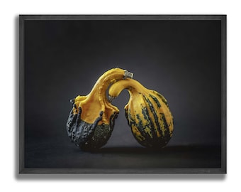 2 squashes hugging, halloween decoration, Autumn Colors Still Life Wall Art