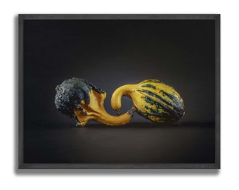 2 squashes kissing, halloween decoration, Autumn Colors Still Life Wall Art