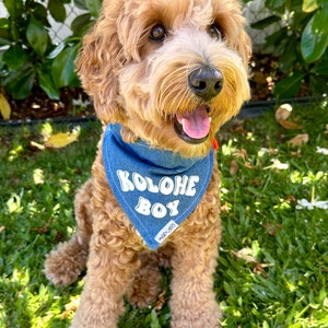 Dog Bandana; Kolohe Boy