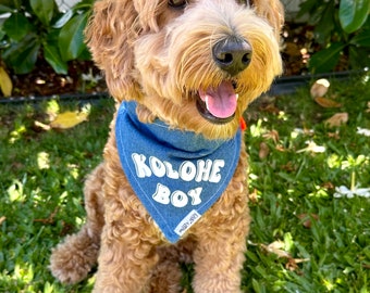 Dog Bandana; Kolohe Boy